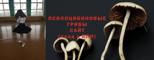 эйфоретик Саяногорск