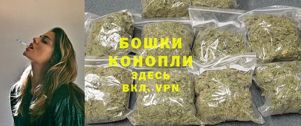 шишки Алексеевка