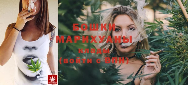 шишки Алексеевка