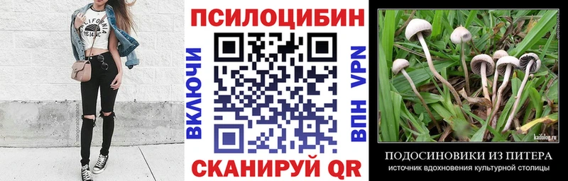 наркота  Гусиноозёрск  Галлюциногенные грибы Psilocybe 