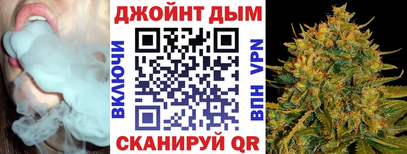 Шишки марихуана семена блэк спрут зеркало даркнет телеграм Гусиноозёрск